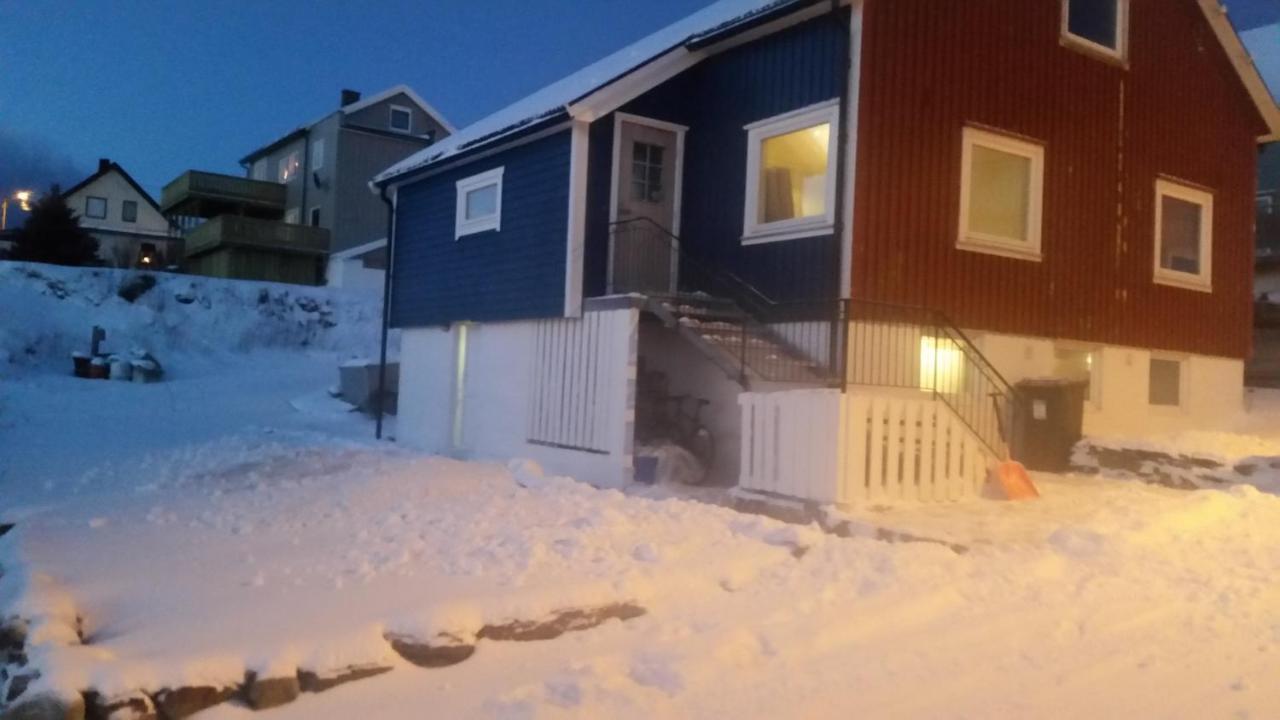 Ferienwohnung Blue House I At The End Of The World Mehamn Exterior foto
